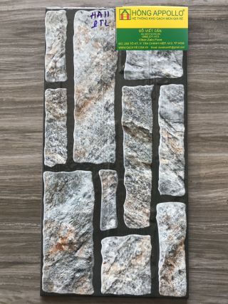 Gạch ốp tường trang trí 20x40 3D cao cấp HA11PTL