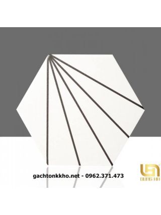 Gạch lục giác giá rẻ Bình Chánh