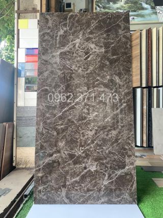 Gạch 60x120 bóng kiếng lát nền APODIO 202THUY