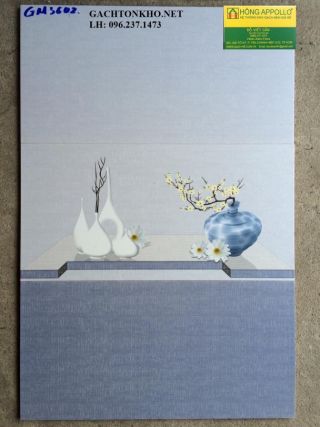 Gạch ốp tường 30x60 3602