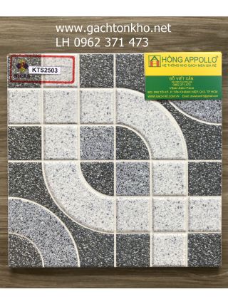 GẠCH LÁT NỀN NHÀ TẮM 30x30 KTS2503