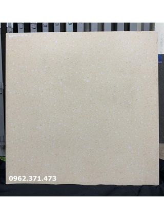 Gạch terrazo đồng chất 60x60