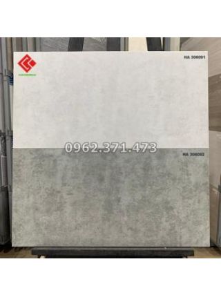 Gạch Thanh Thanh 300x600 ốp tường mờ