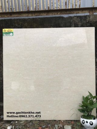 Gạch 80x80 cao cấp Miền Nam 8021