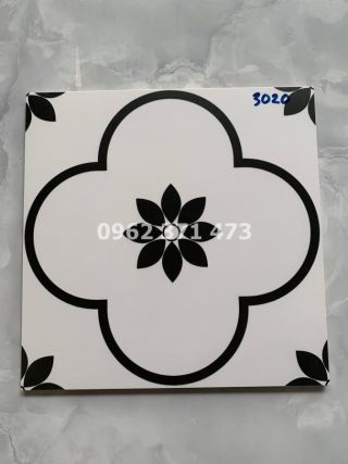 Gạch bông cổ điển 30x30 lát nền đẹp 3020