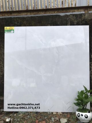 Gạch 80x80 Catalan bóng kiếng cao cấp rẻ đẹp 8052