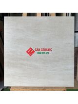 Gạch men matt 60x60 viglacera màu be 202