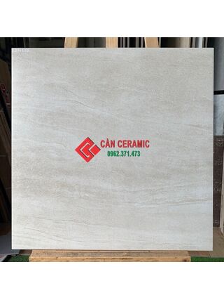 Gạch men matt 60x60 viglacera màu be 202