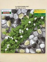 GẠCH LÁT SÂN 40X40 408