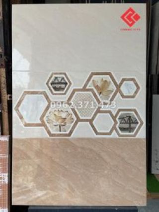 Gạch 30x60 Viglacera 36012A