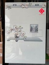 Gạch dán tường 30x60 viglacera 3972A