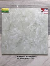 Gạch Lát Nền Prime 60x60 15648TP