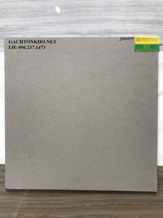 GẠCH 60X60 ĐÁ MỜ P67019M