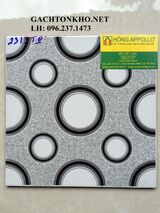 Gạch nhà tắm 25x25 2313