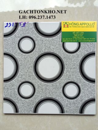 Gạch nhà tắm 25x25 2313