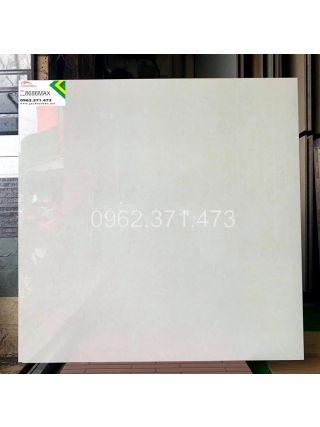 Gạch 80x80 màu trắng bóng kiếng 8686MAX