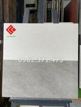 Gạch ốp 30x60 bóng mờ viglacera