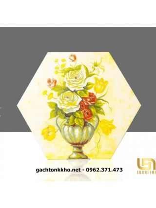 Gạch lục giác giá rẻ Tây Ninh