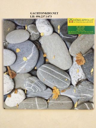 GẠCH LÁT SÂN 40X40 CON DẾ