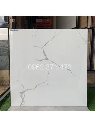 Gạch bóng kiếng 60x60 vân mây HOI6102