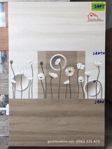 Gạch ốp tường 30x60 nhám mờ Royal