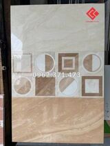 Đá bóng kiếng 30x60 viglacera 3603