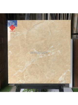 Gạch 60x60 AMY vân vàng đậm