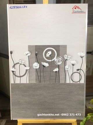 Gạch ốp tường bóng mờ 30x60 mới