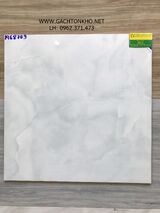 Gạch 60x60 Bóng Kiếng Lát Nền Giá Rẻ GTK1468709