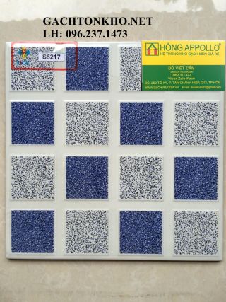 Gạch nhà tắm 25x25 S5217