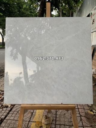 Gạch lát phòng khách 80x80 Vicenza 8001