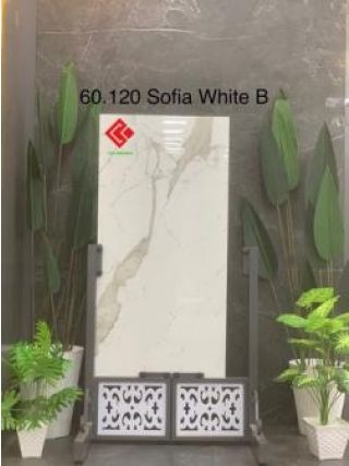 Gạch 60x120 trắng vân mây Sofia White B