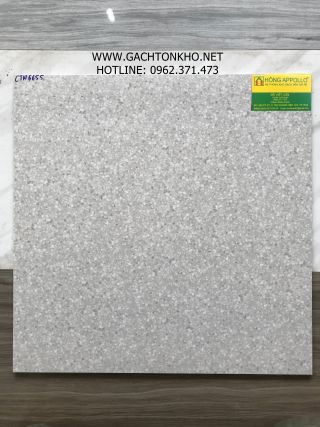 Gạch Lát Nền 60x60 Đá Mờ Tồn Kho cao cấp CTN6655