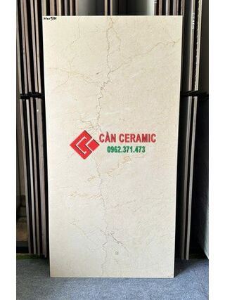Gạch 60x120 vân đá vàng kem mờ Max97m