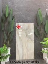Gạch 60x120 Ấn Độ vân đá Plazzo Glossy