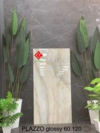 Gạch 60x120 Ấn Độ vân đá Plazzo Glossy
