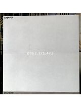 Gạch mờ ốp phòng tắm 300x600 TTC KHQA36327