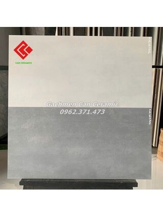 Đá mờ 30x60 Prime ốp lát vân bê tông 3611RA2