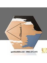 Gạch lục giác giá rẻ Bình Thạnh