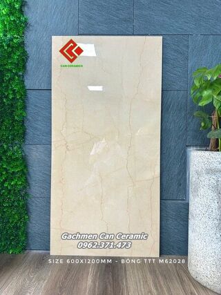 Gạch 60x120 Ấn Độ 62028