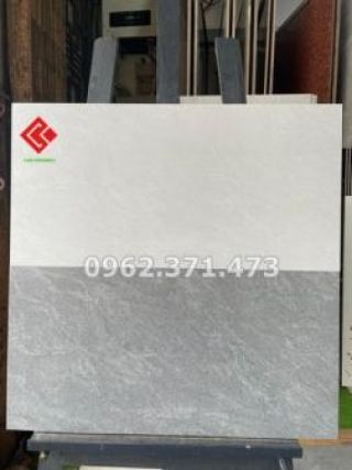 Gạch men matt 30x60 viglacera mới