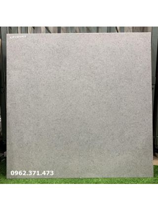Gạch lát nền 60x60 nhám 6669