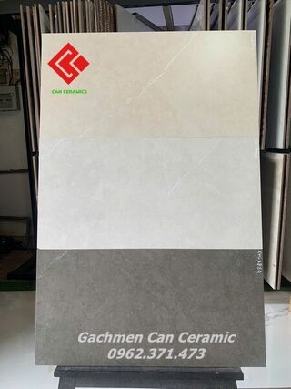 Gạch mờ matt 30x60 ốp lát sang trọng 3738EQ