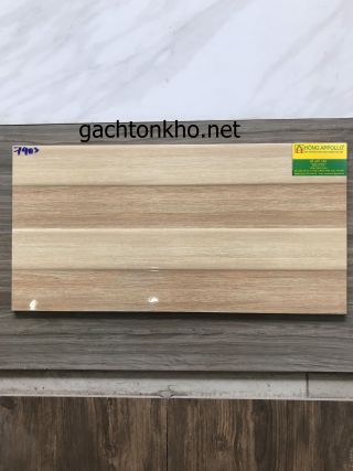 Gạch ốp tường 30x60 7403