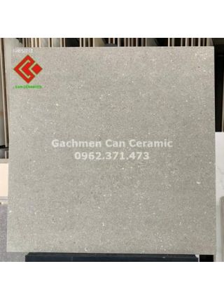 Gạch nhám 60x60 lát sân thượng GTK6520