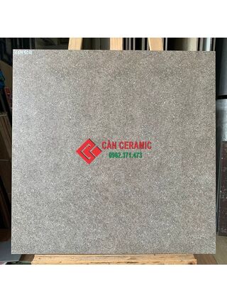 Gạch viglacera 60x60 nhám mờ màu nâu đất 504