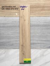 Gạch giả gỗ 15x80 581001FDV