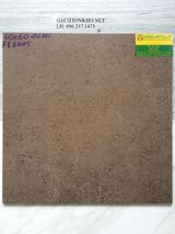 GẠCH LÁT NỀN ĐÁ MỜ 60x60 FL6005
