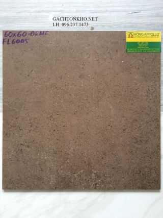 GẠCH LÁT NỀN ĐÁ MỜ 60x60 FL6005