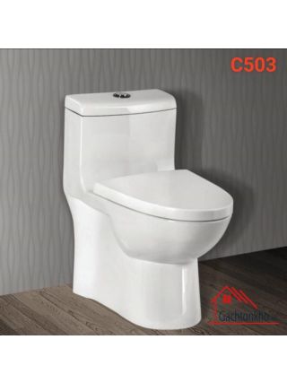 Bàn Cầu Ceravi 1 Khối Cao Cấp C503